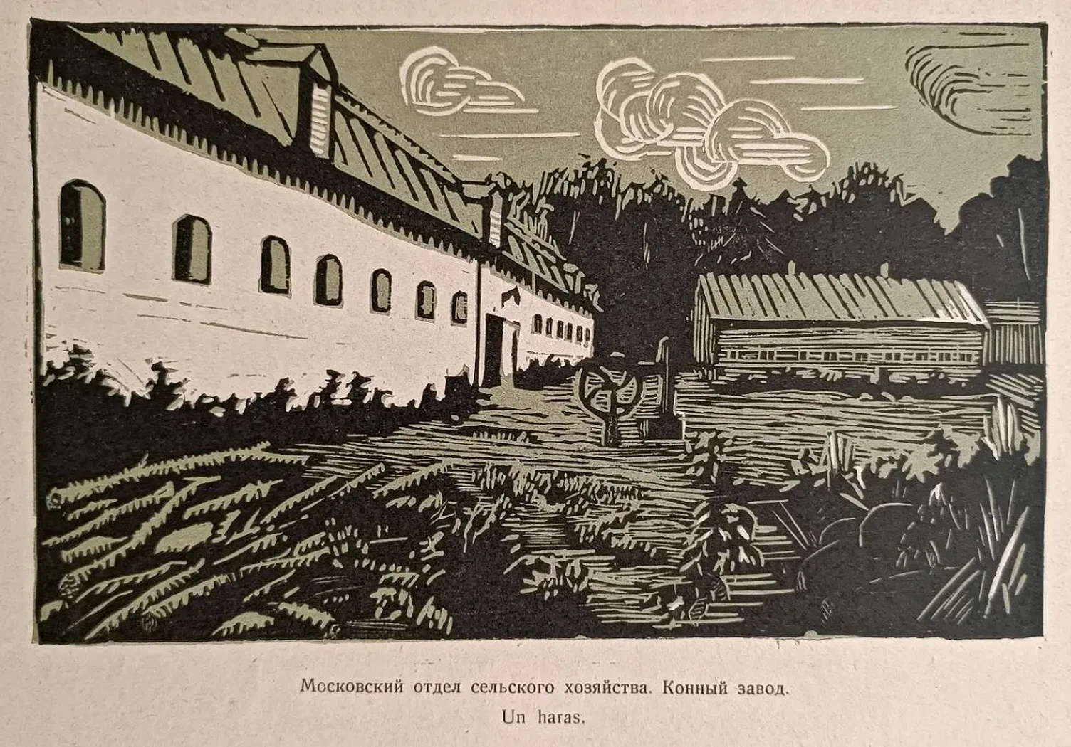 «Московский отдел сельского хозяйства. Конный завод» «Матки на лугу»