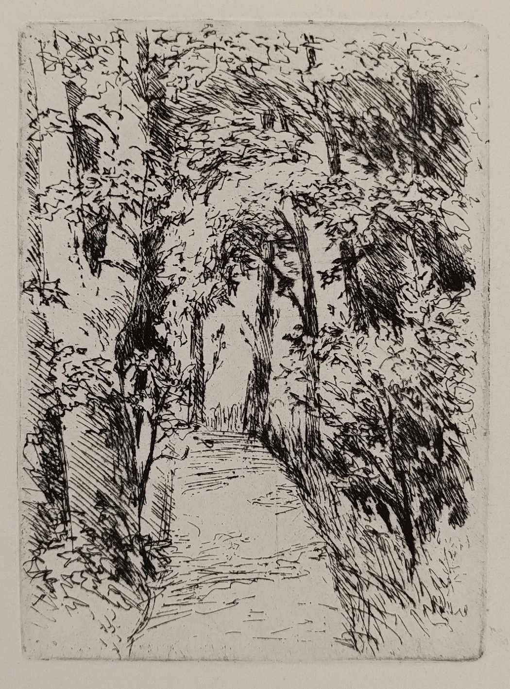 «Тропинка» Ковалев А.С.