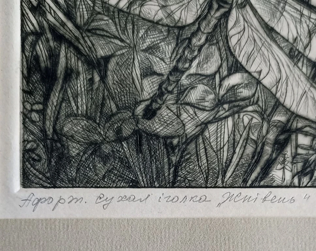 «Август»