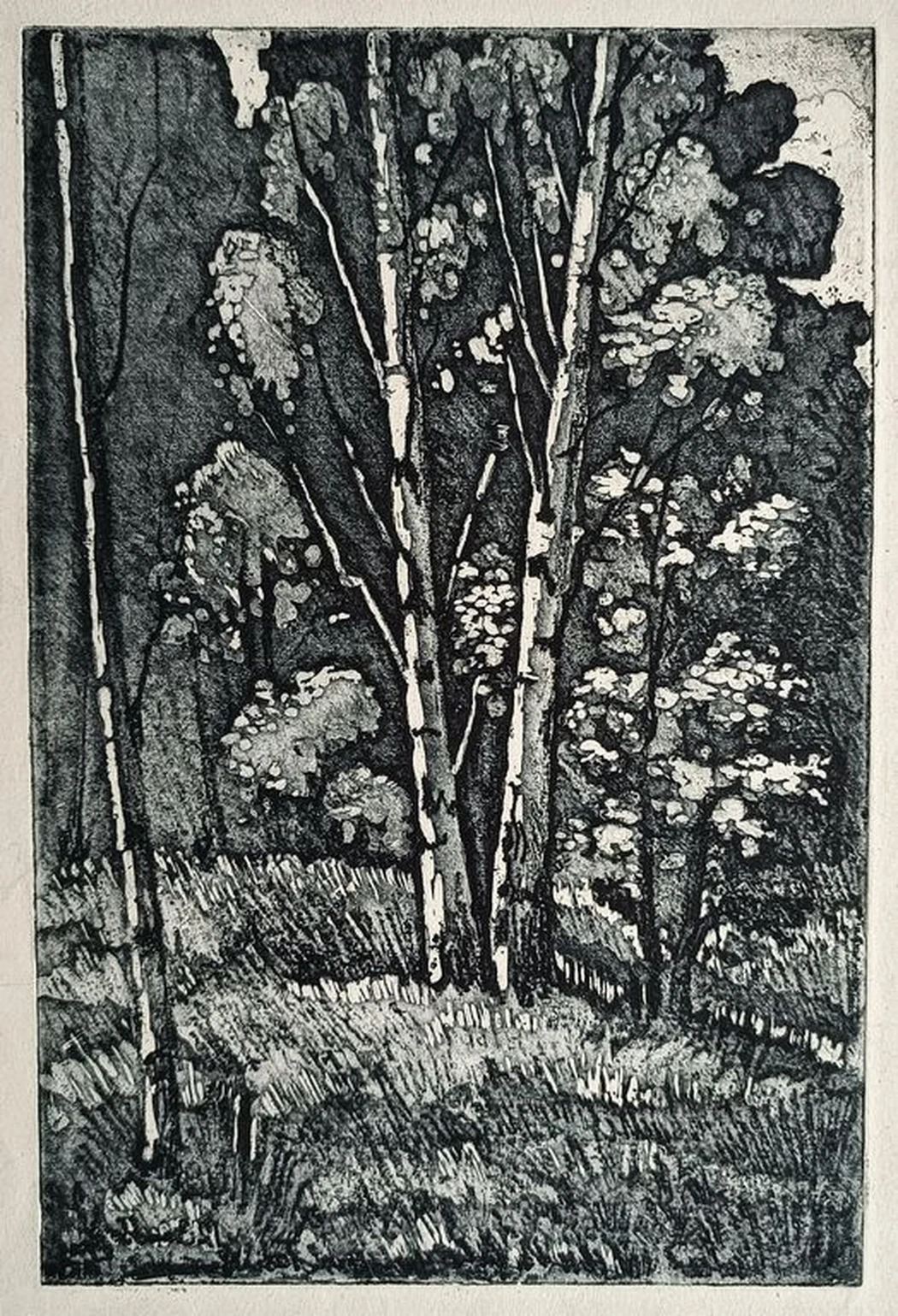 «Берёзы» Тупикин Р.Ф.
