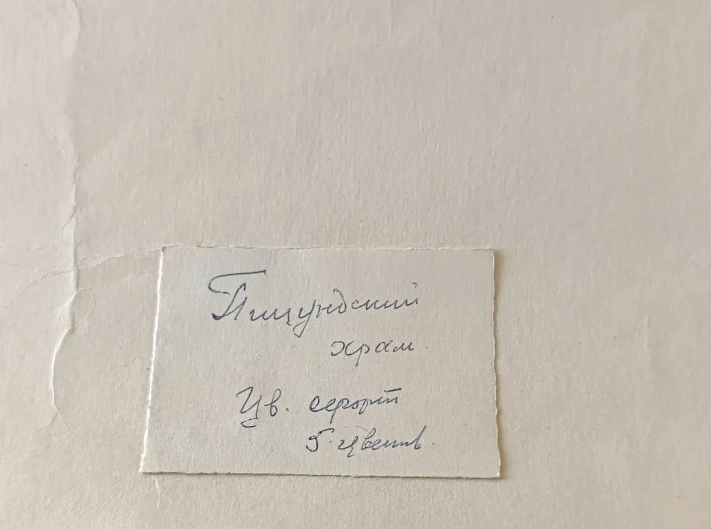 «Пицундский храм»