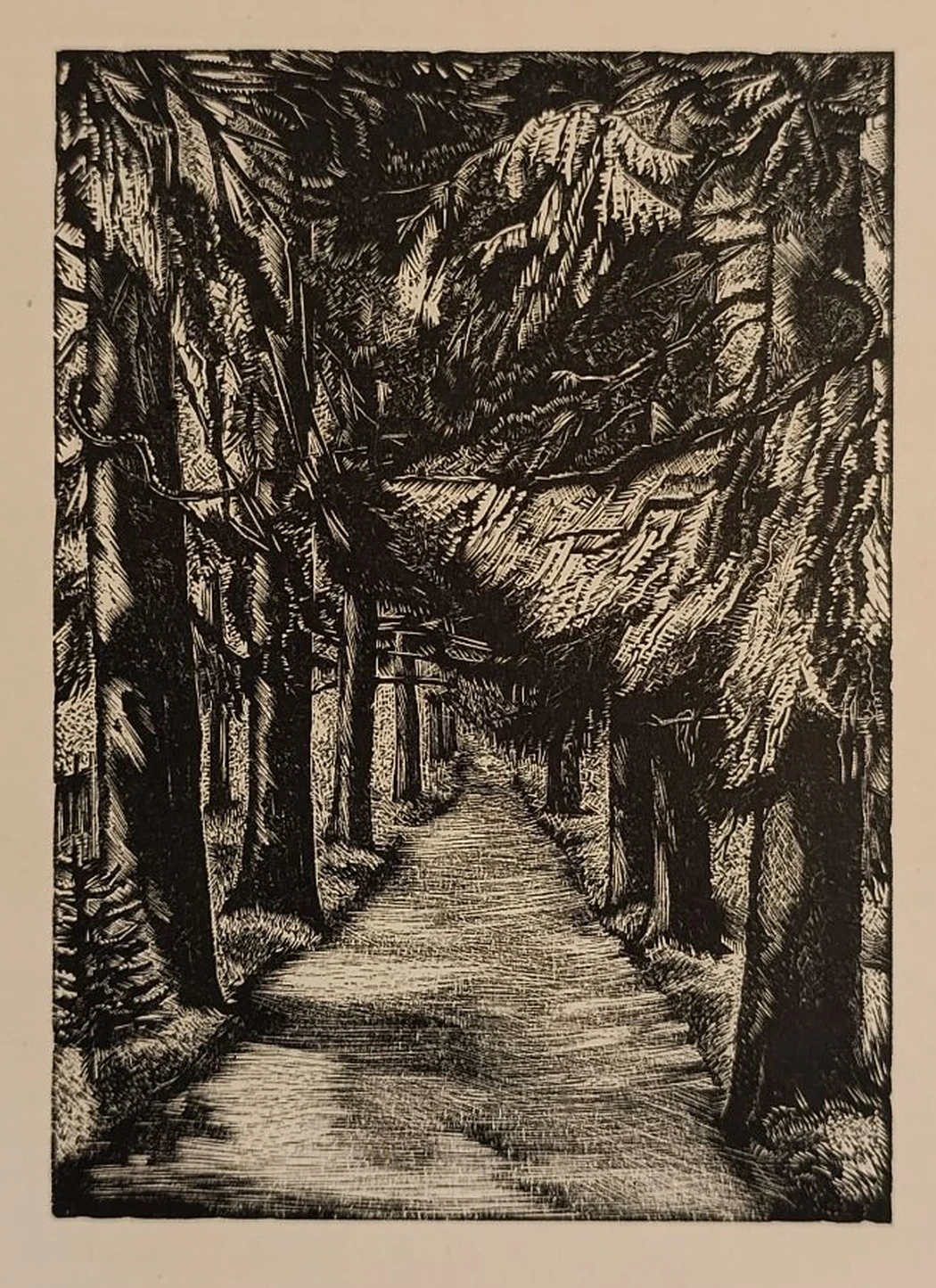 «Михайловское. Еловая аллея» Хижинский Л.С.