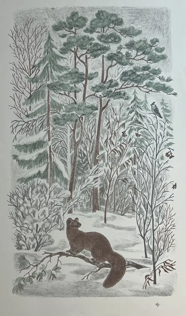 «Пейзаж с соболем», Вальцефер Ксения Борисовна, художник, купить картину.