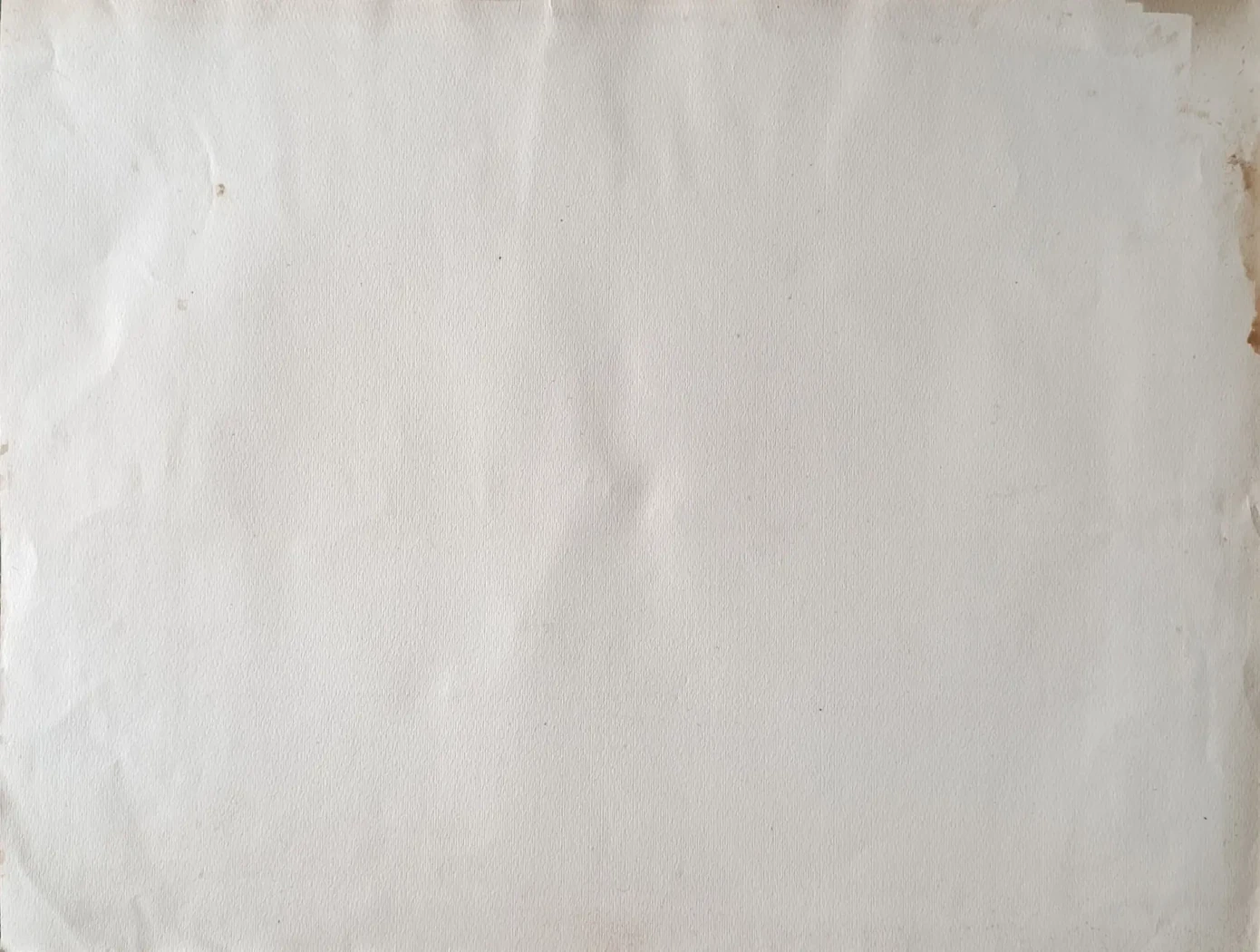«Морской флот»