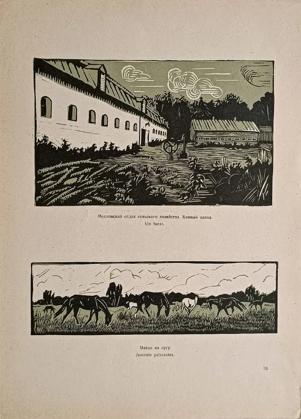 «Московский отдел сельского хозяйства. Конный завод» «Матки на лугу»