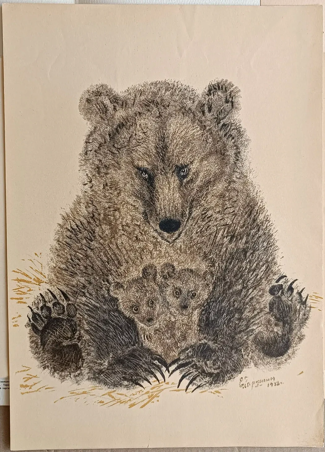 «Зверята»