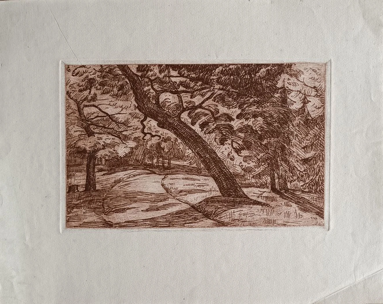 «Лес»