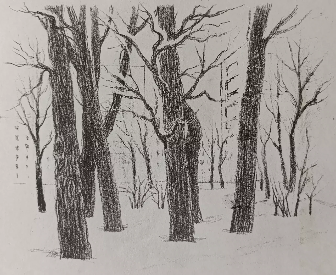 «Городской сквер. Клёны» Ковалев А.С.