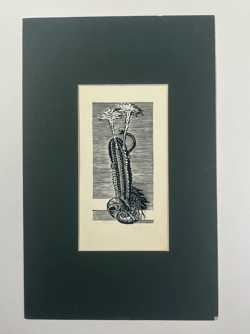 «Кактус», Н.Х., художник, купить картину, купить, работы, аукцион, графика, галерея ОПХ, Bidspirit, бидспирит, магазин