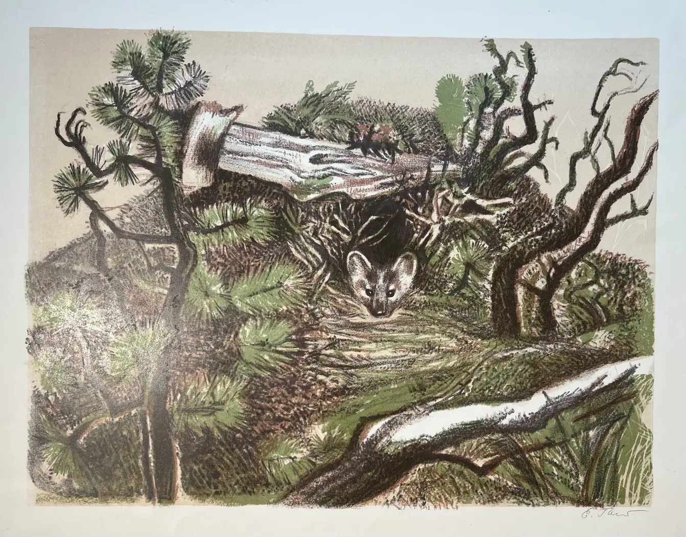 «Зверек», Галеркина Елена Александровна, художник, купить картину.