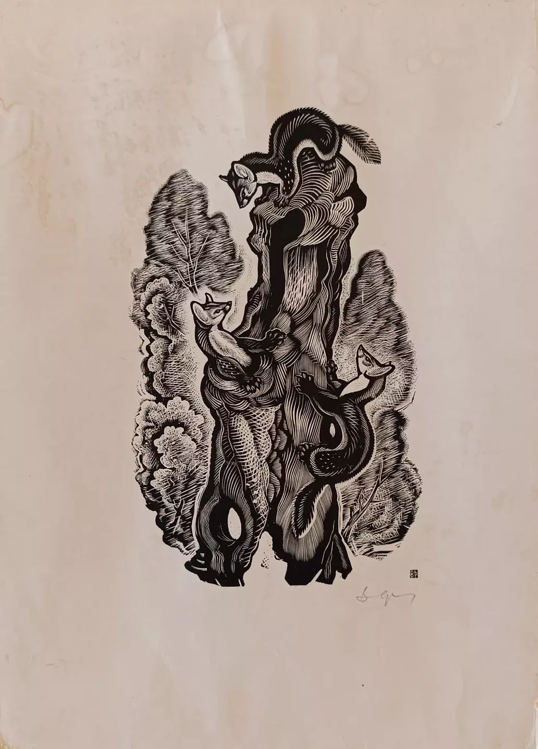 «Куницы»
