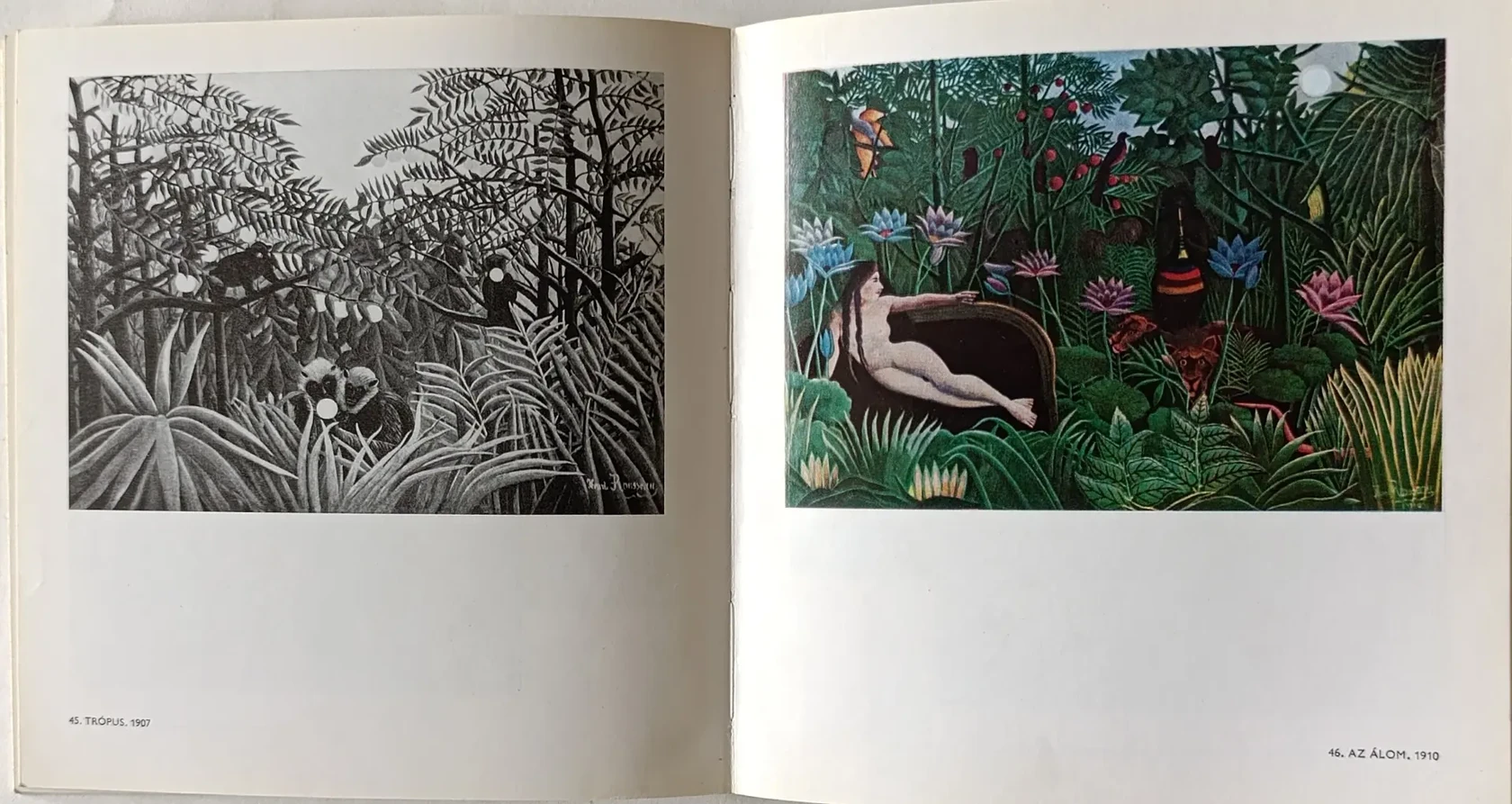 «Henri Rousseau»