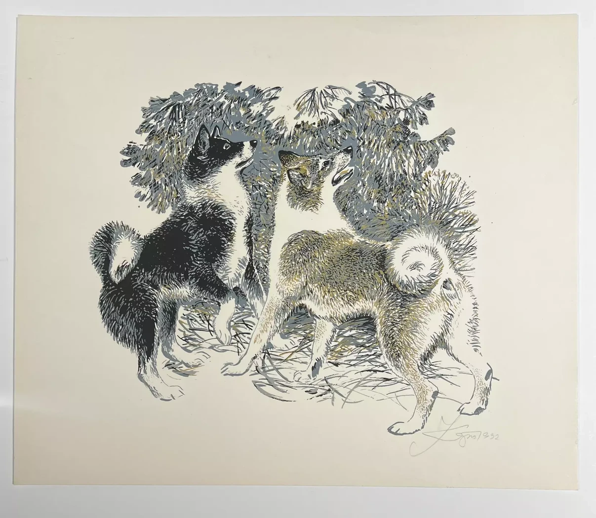 «Лайки»