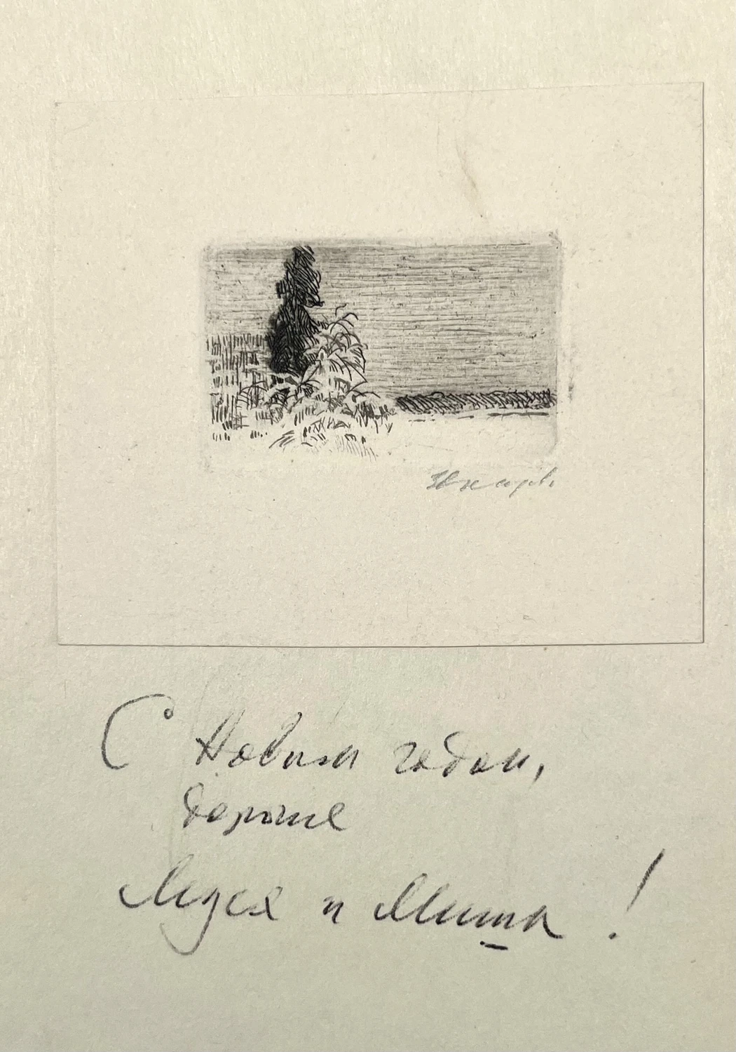 «Лес в снегу»,Звонцов В.