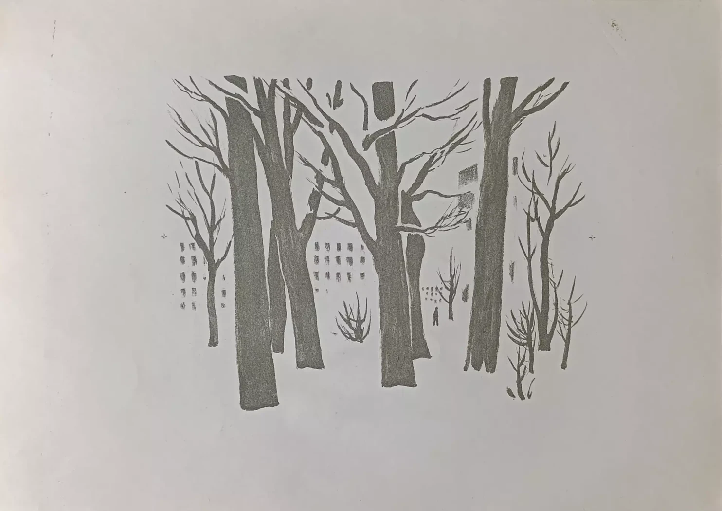 «Городской сквер. Клёны»