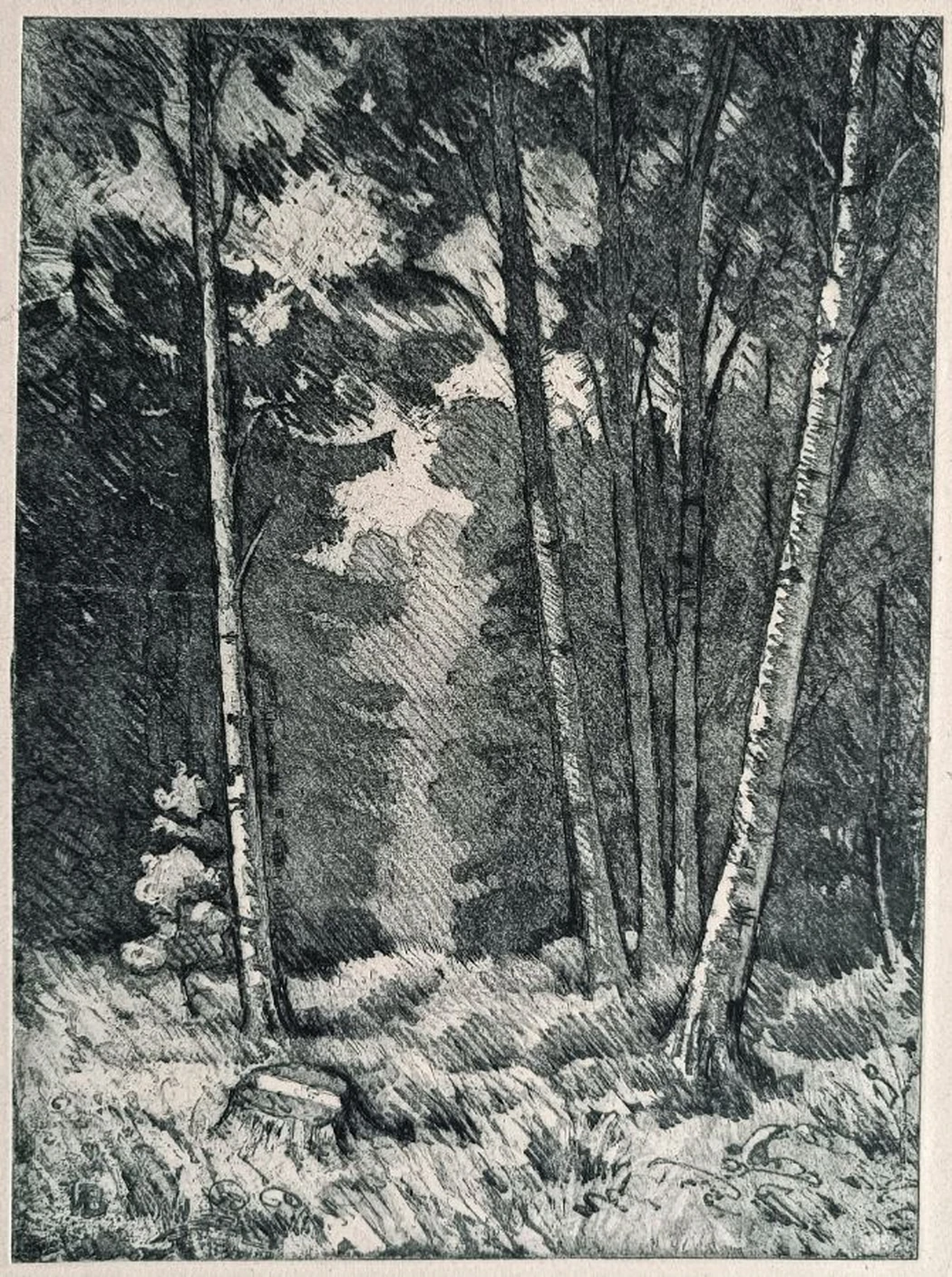 «В лесу» Тупикин Р.Ф.