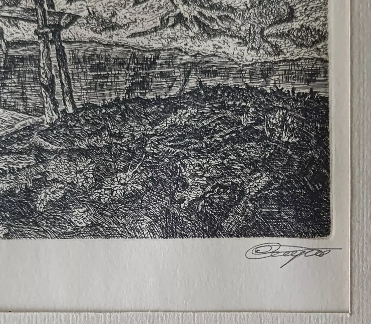 «Старая деревня»