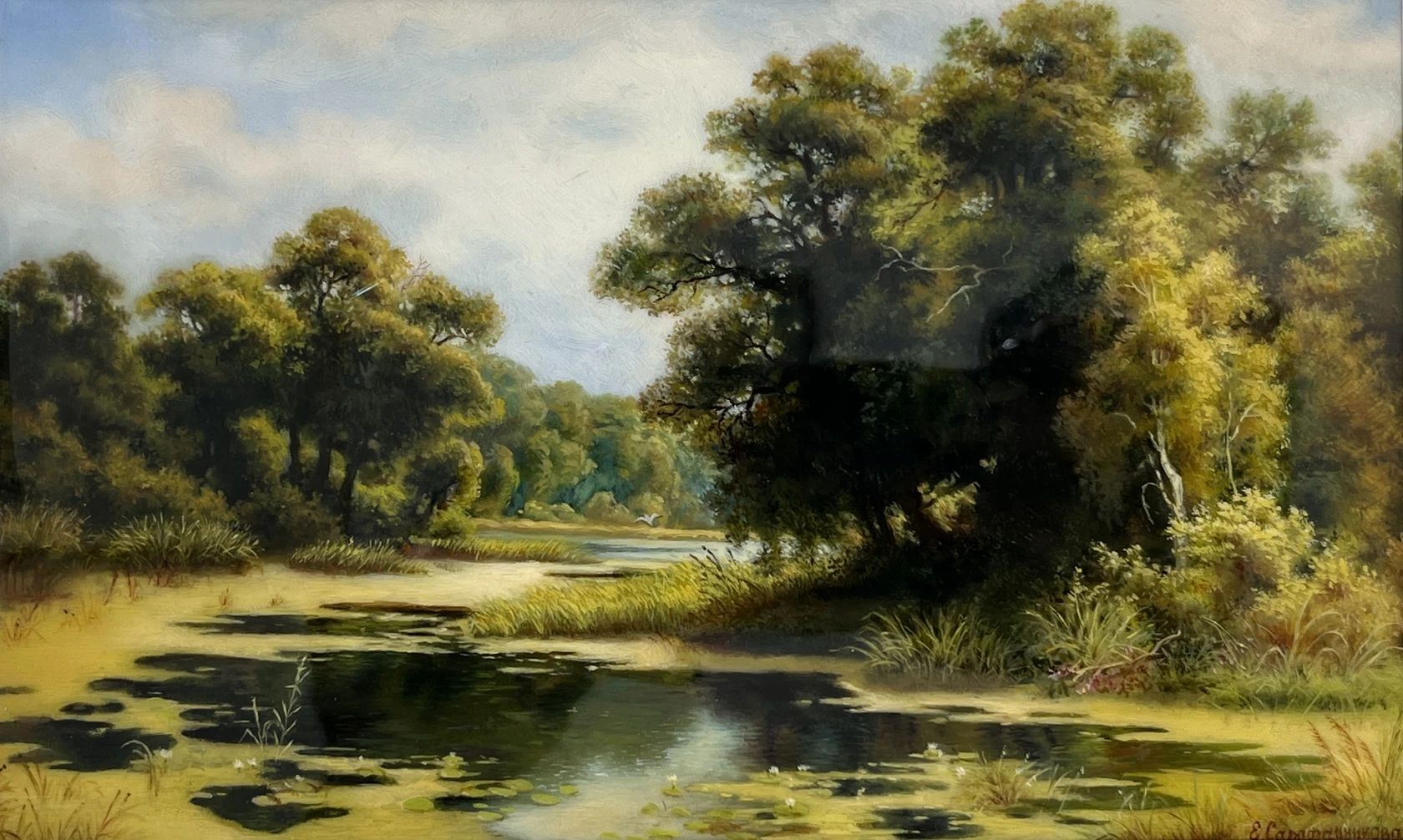 «Заросший пруд», Сарафаникова Екатерина