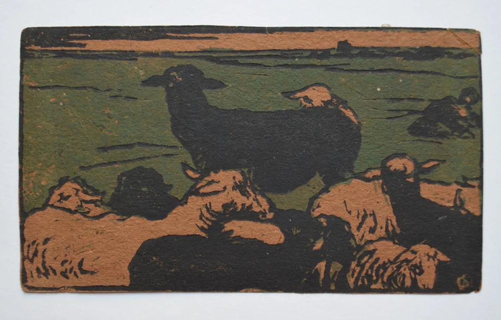 «Овцы»