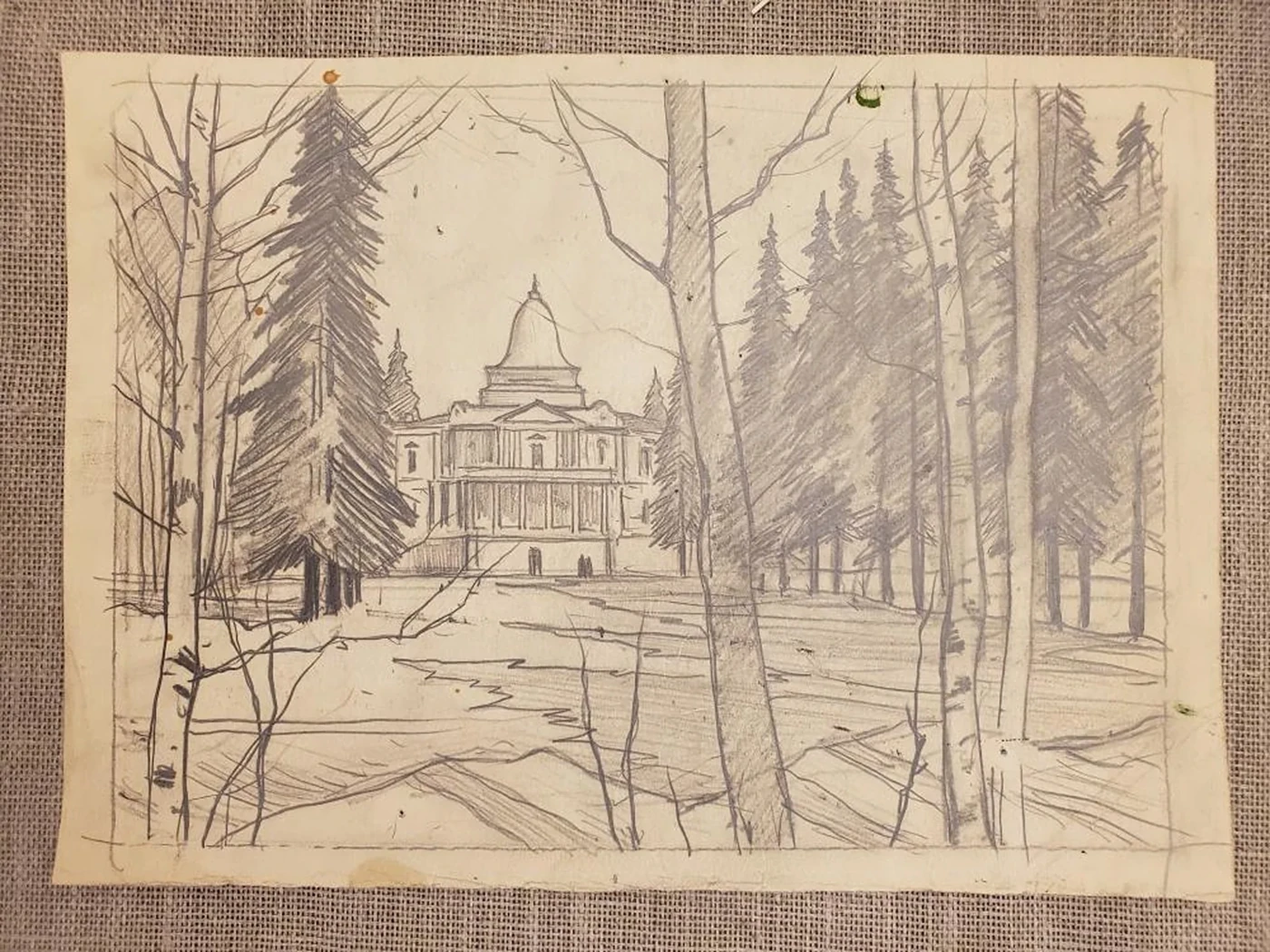 «Павловск»