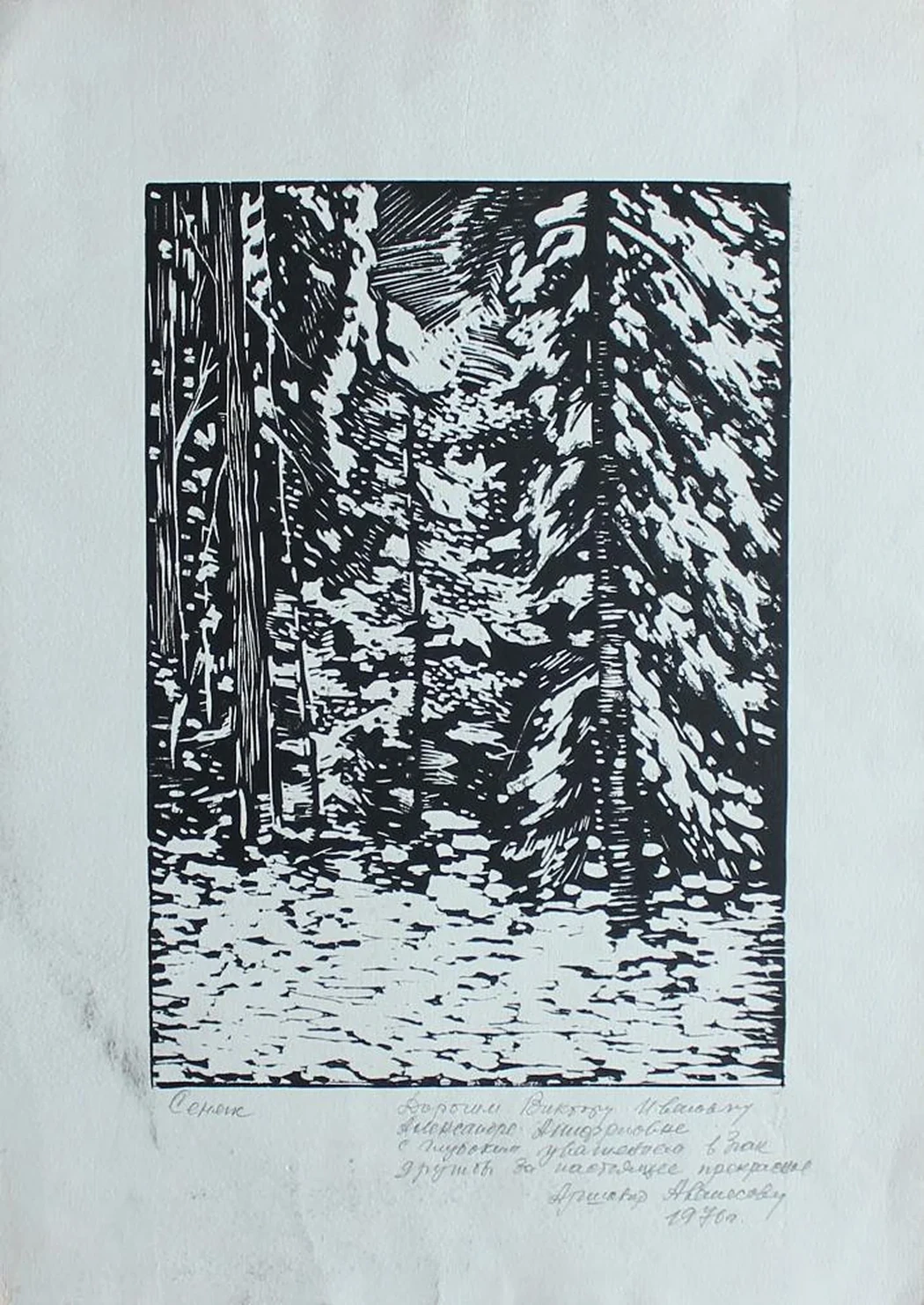 «Сенеж»
