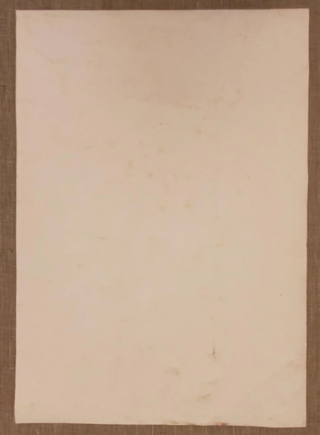 «Ню»