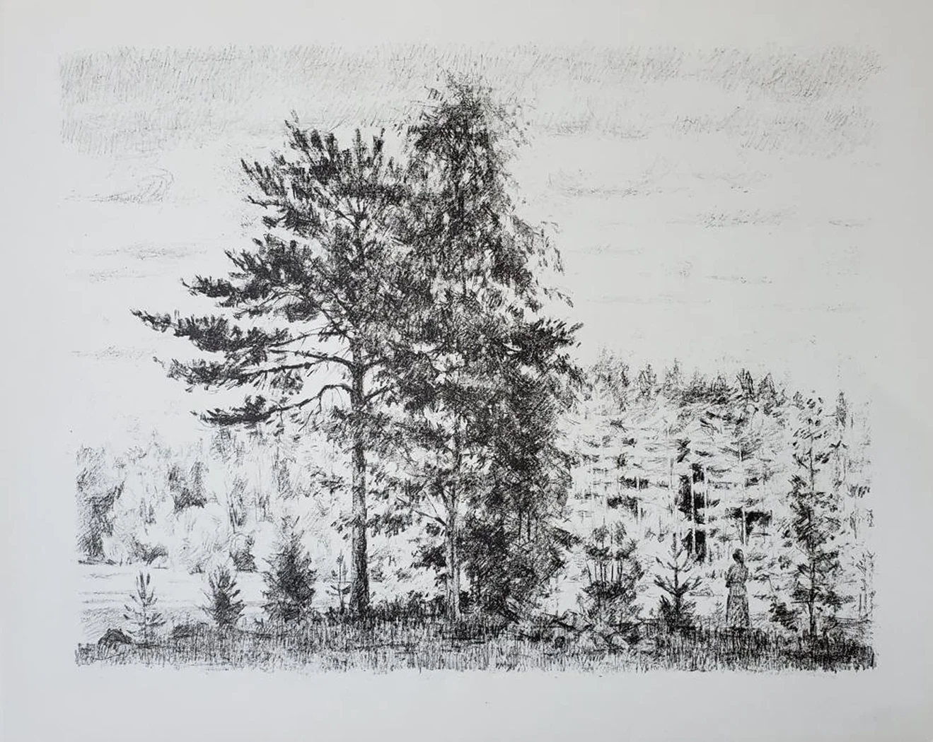 «Пейзаж с сосной»