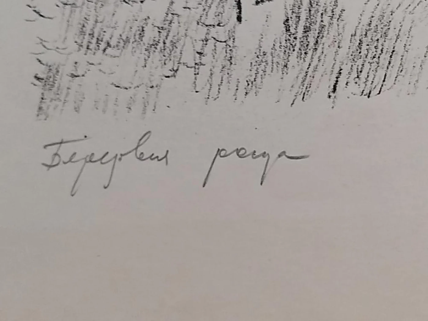 «Березовая роща»