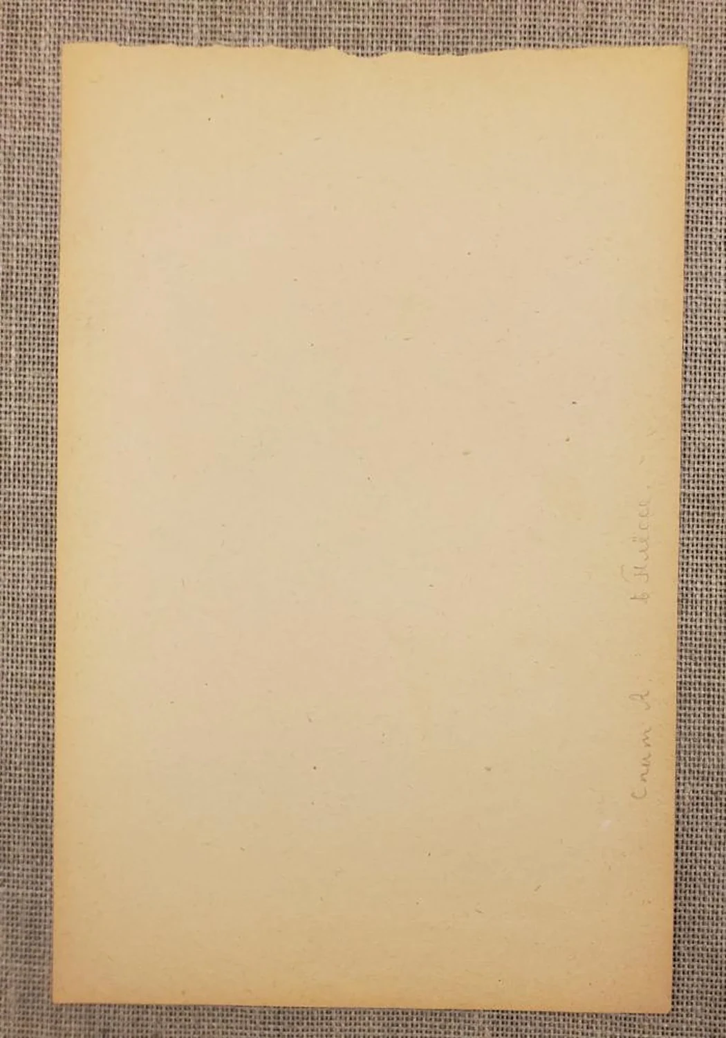 «Алла спит»