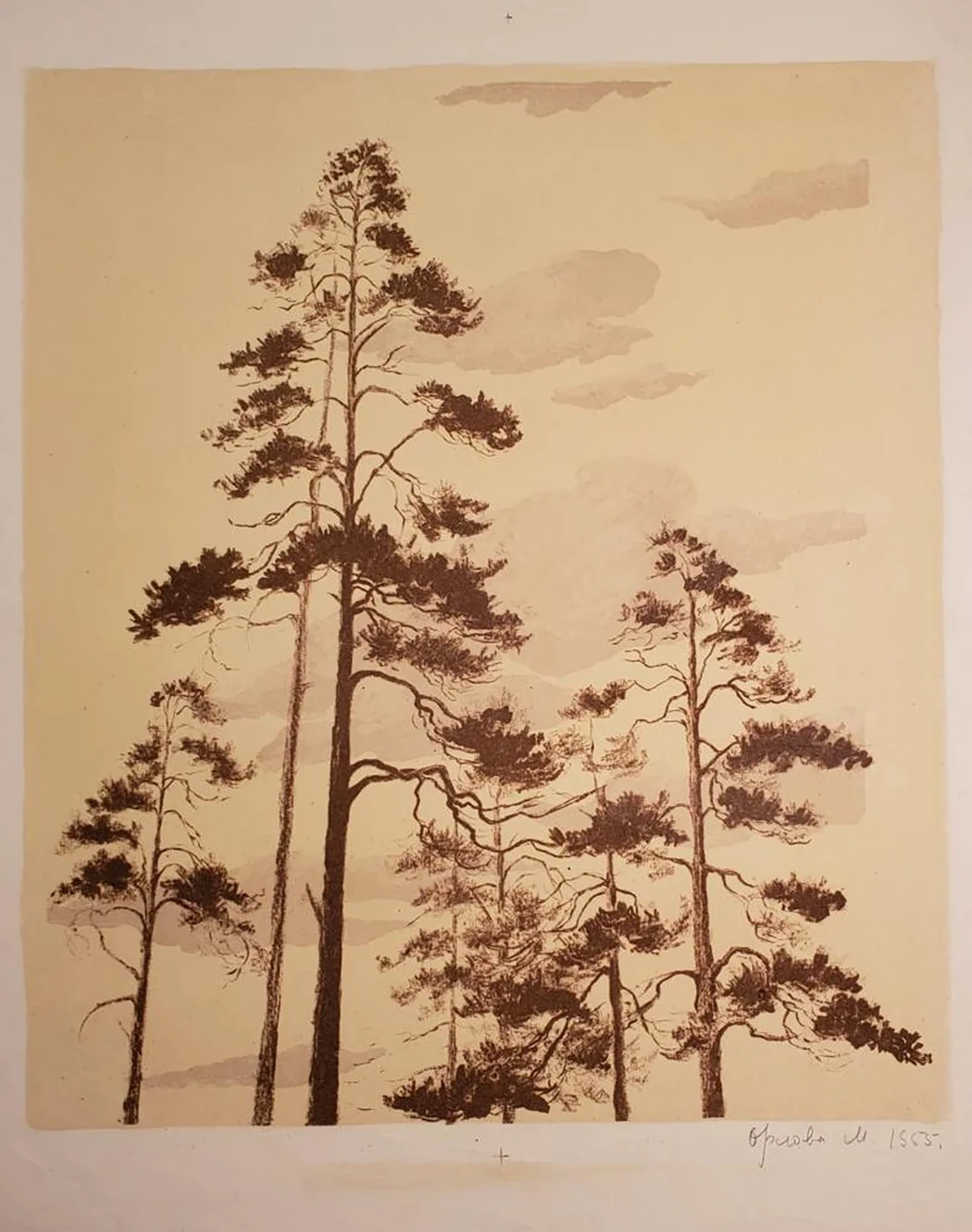 «Сосны»
