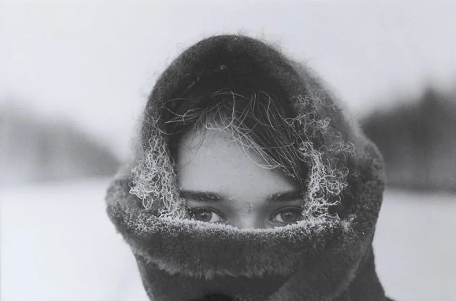 «Зима»