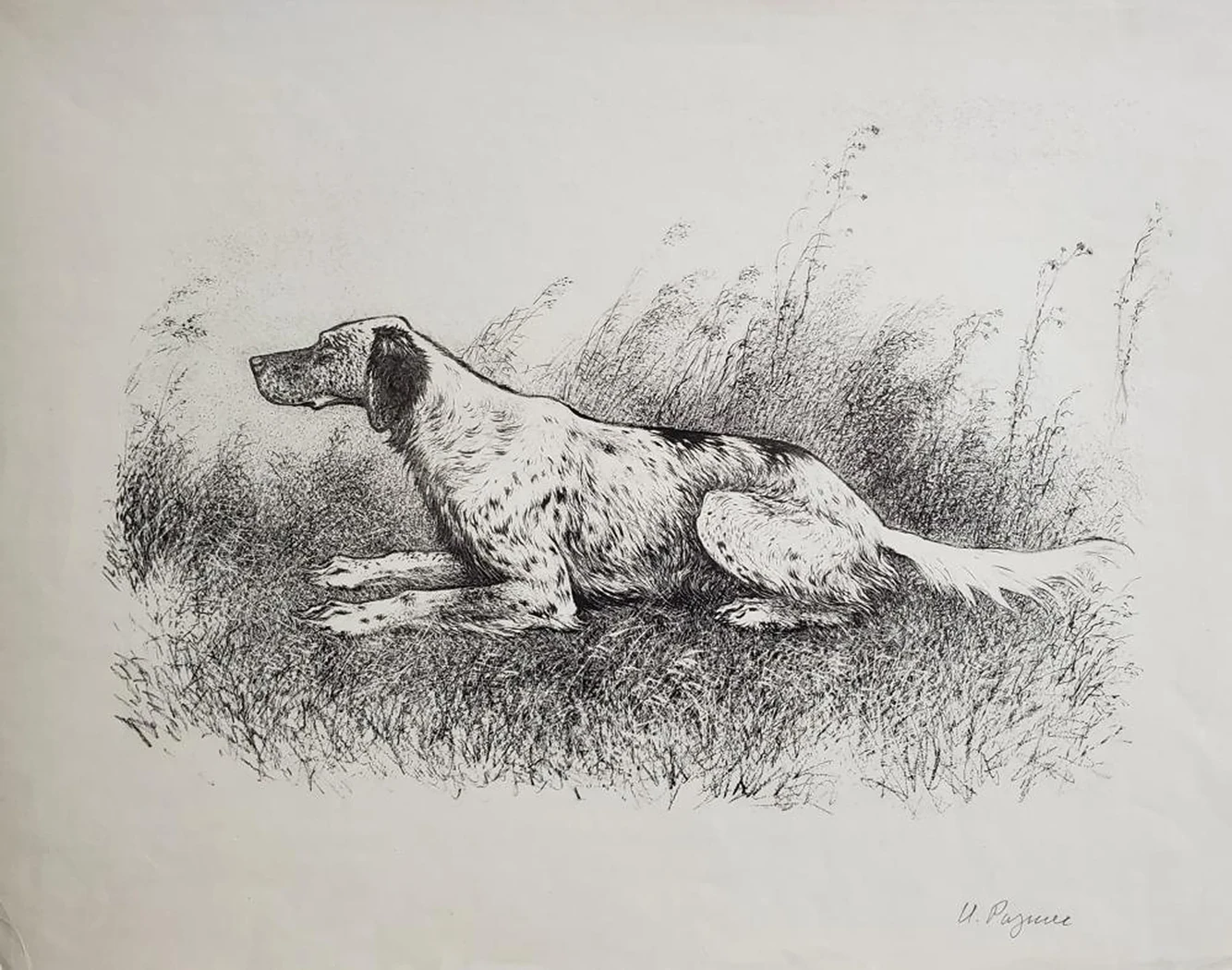 «Сеттер»