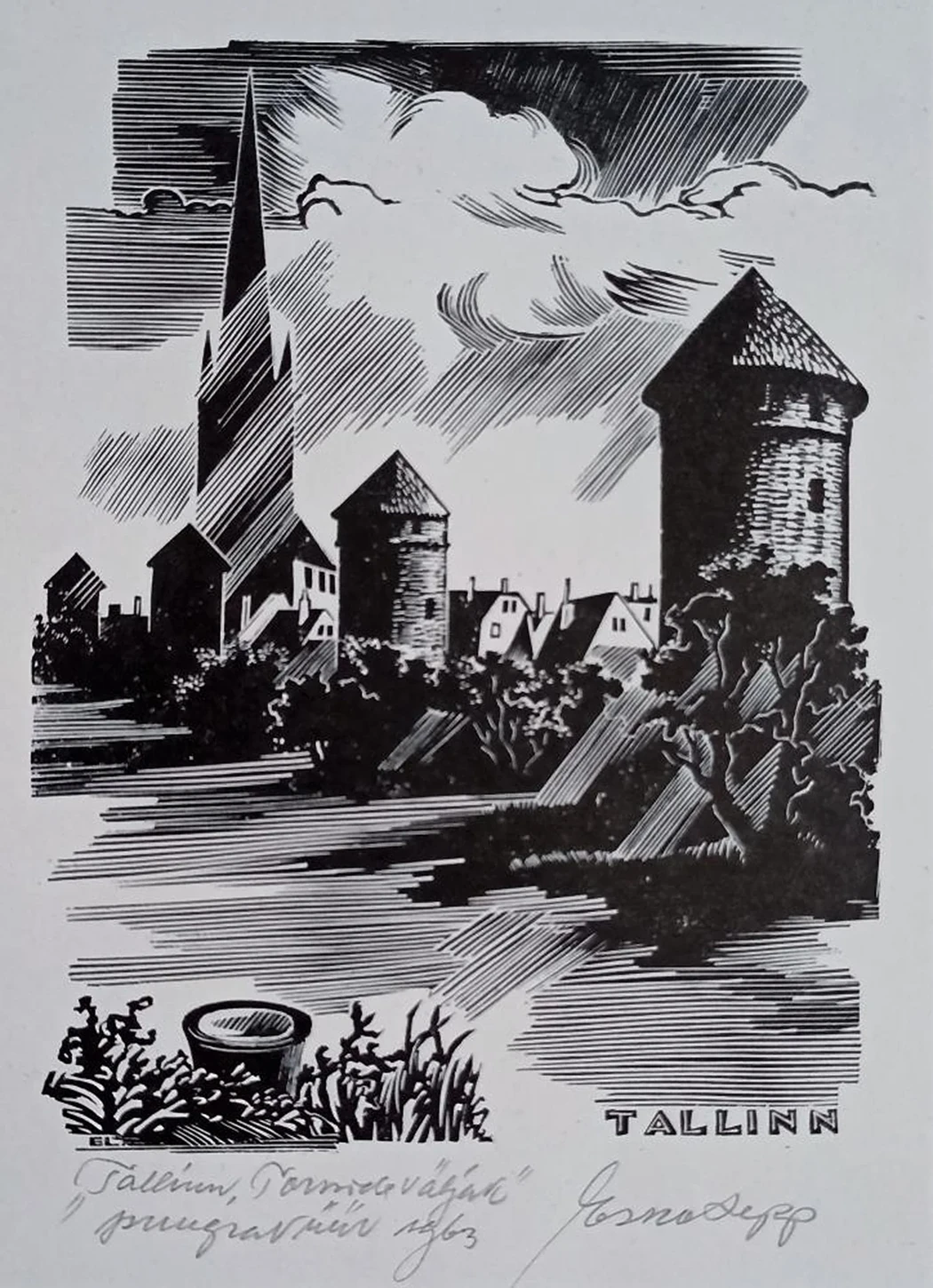 «Таллинн» Esko Lepp