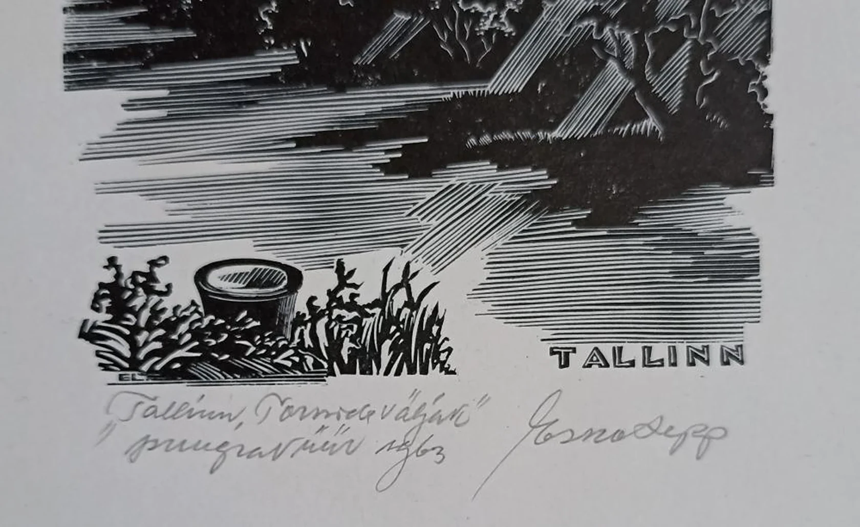 «Таллинн» Esko Lepp
