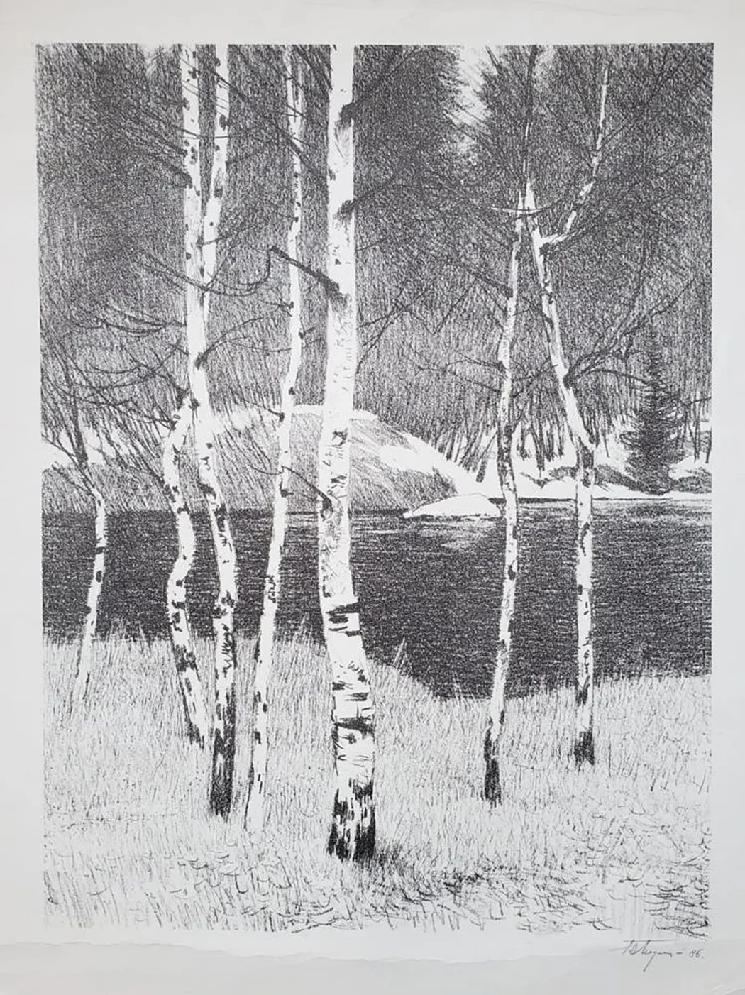 «Березки»