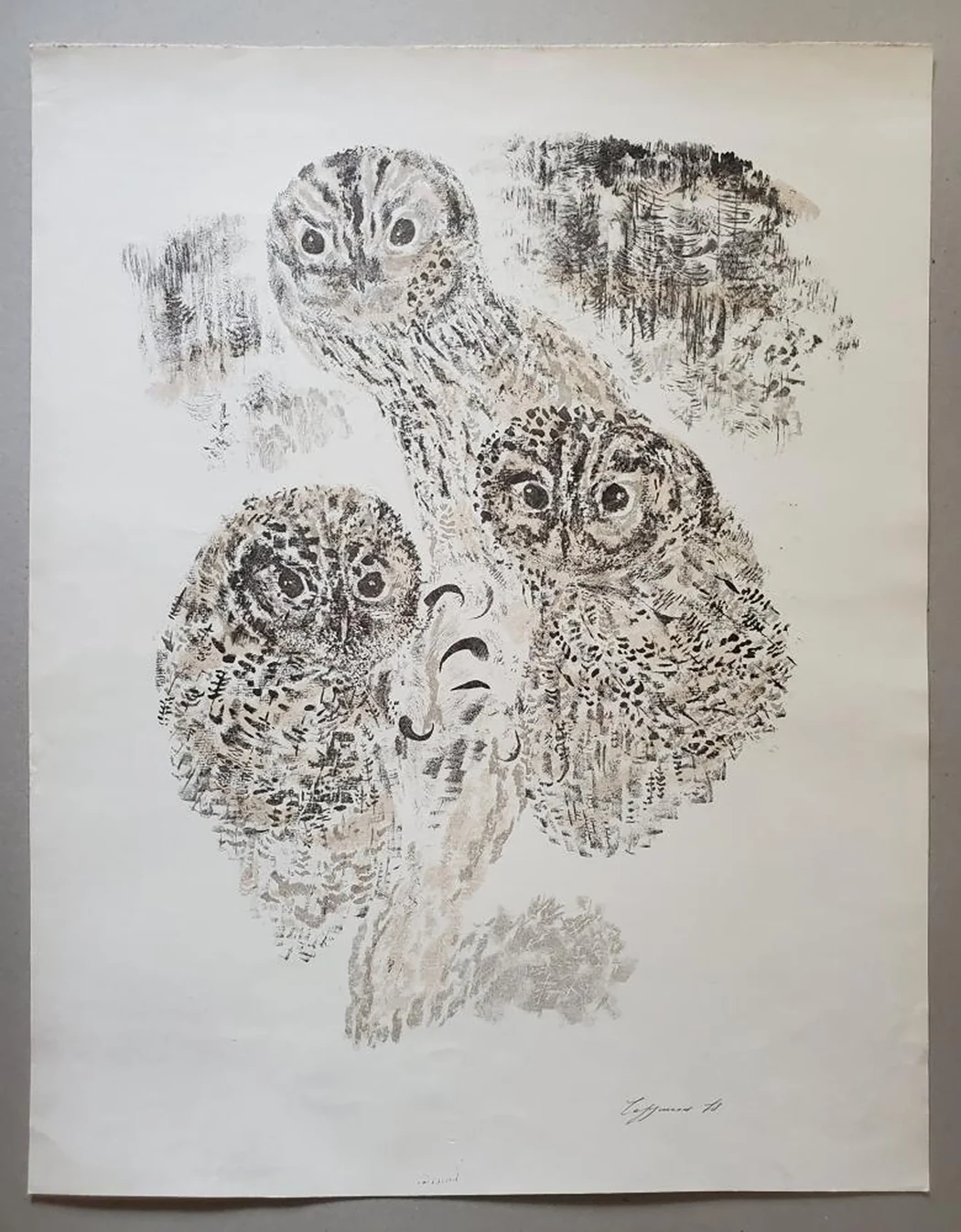 «Совы»