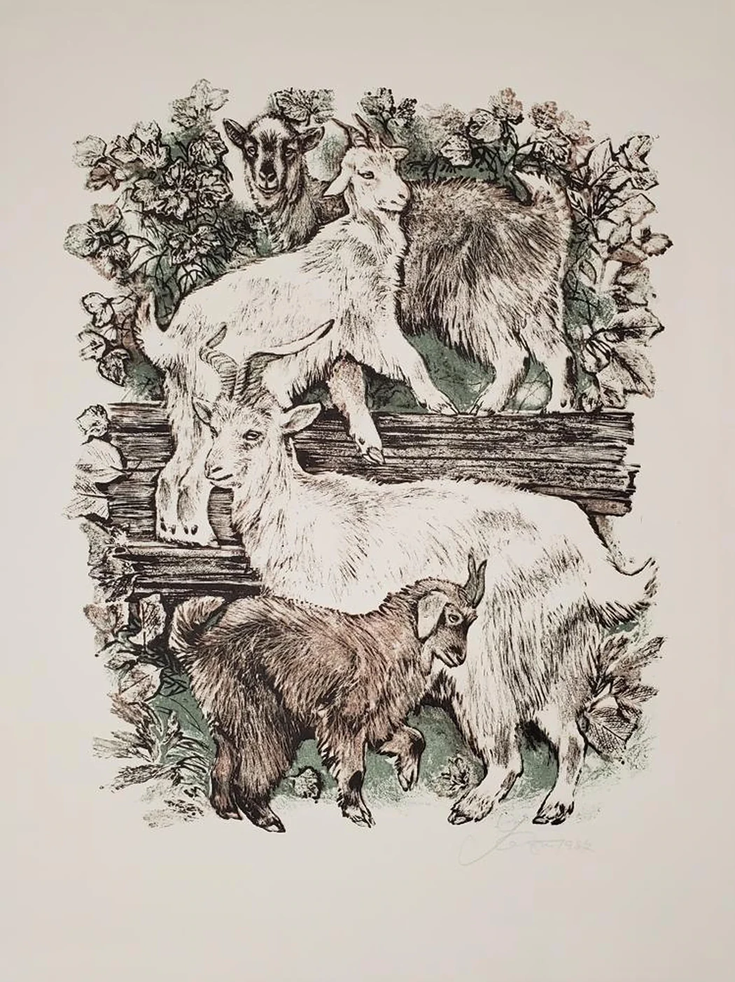 «Козочки»