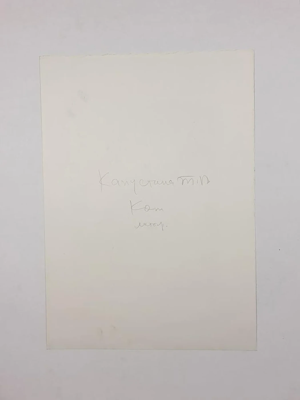 «Кот»