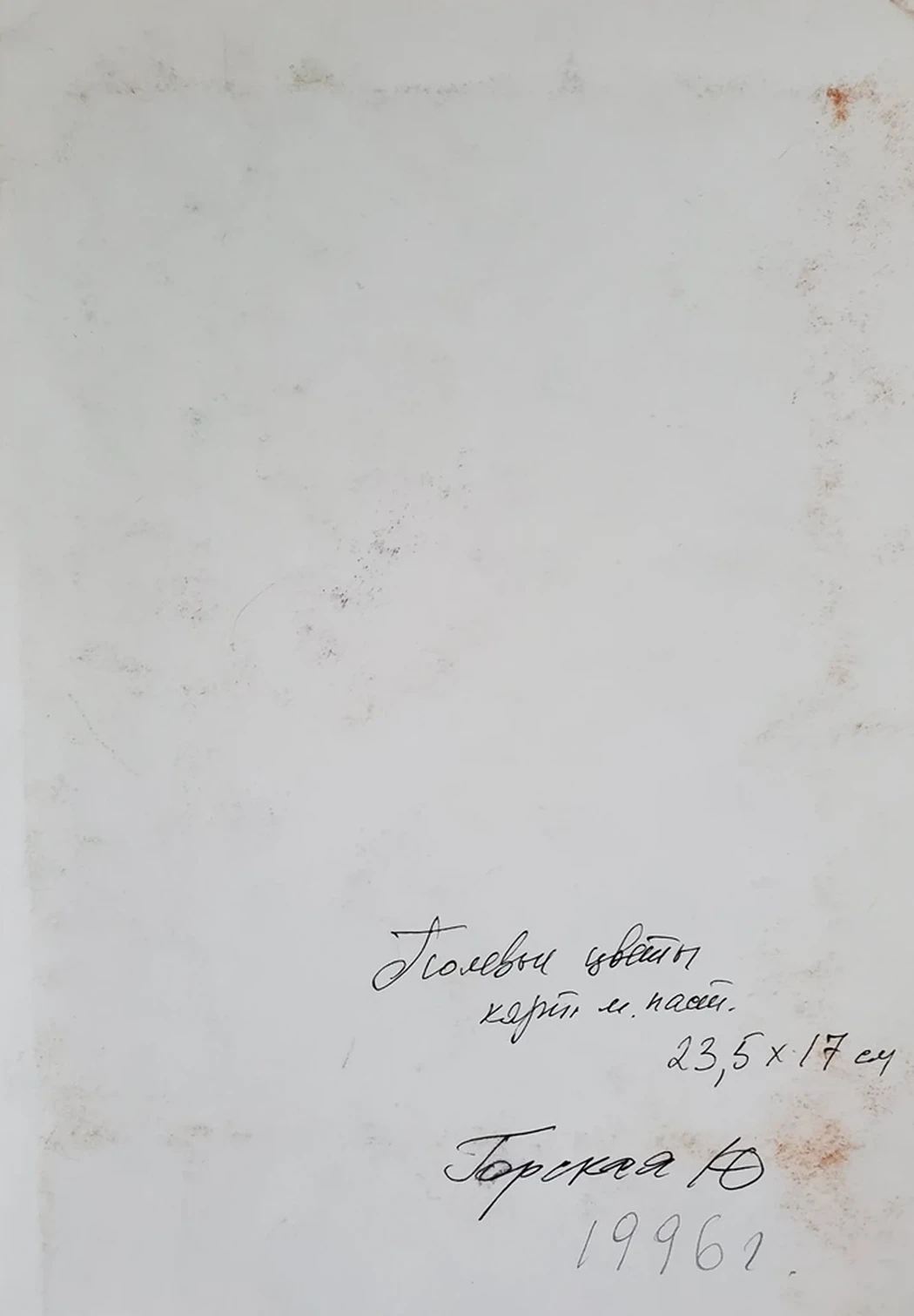«Полевые цветы»