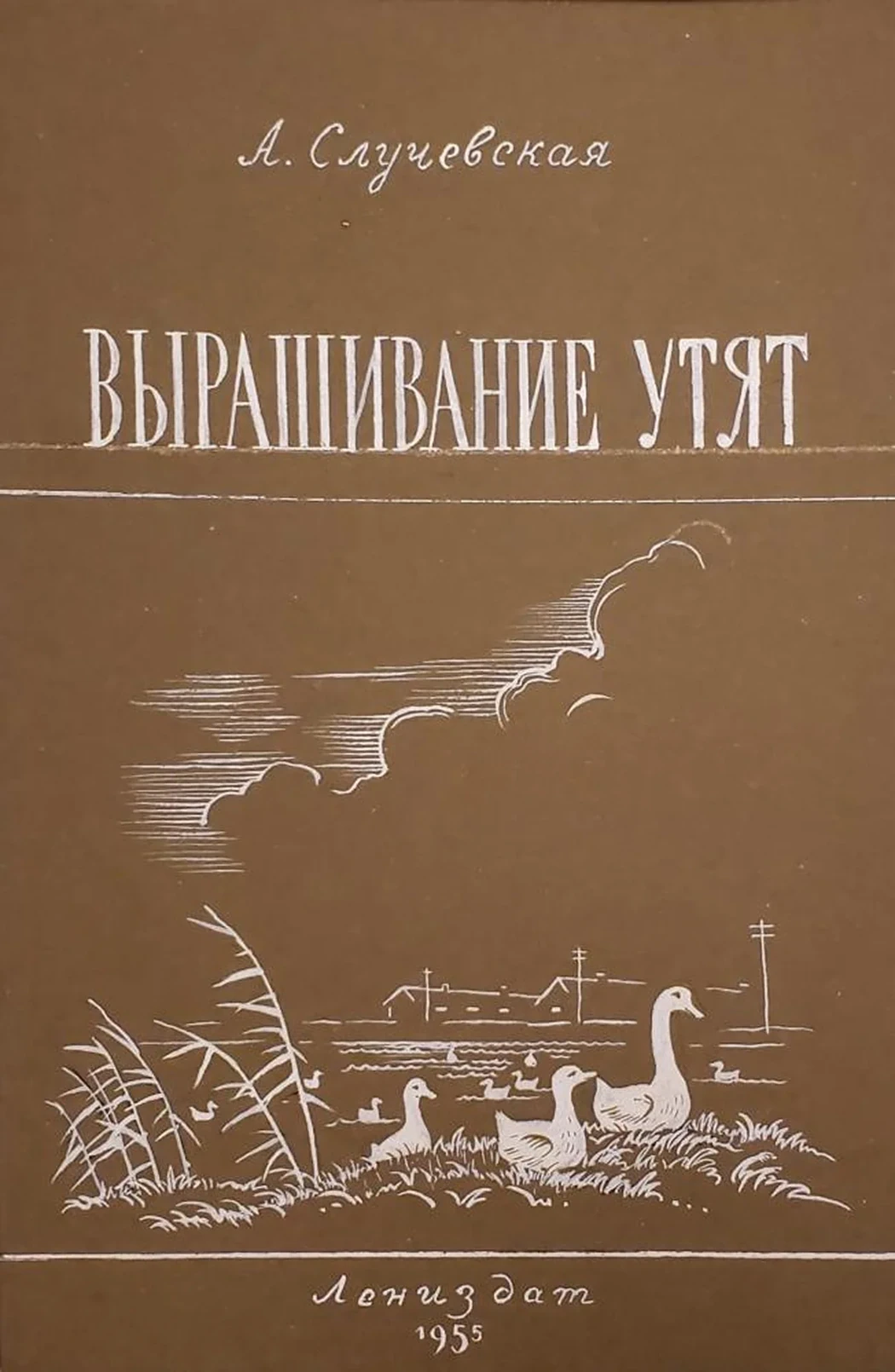 «Выращивание утят»