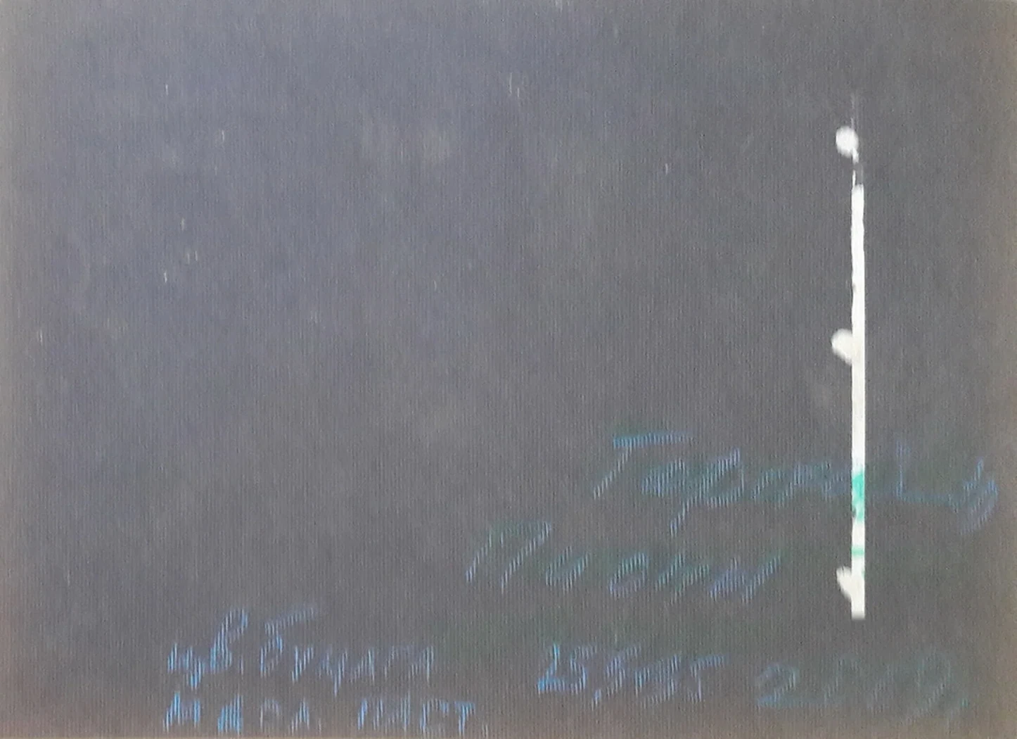 «Пионы»