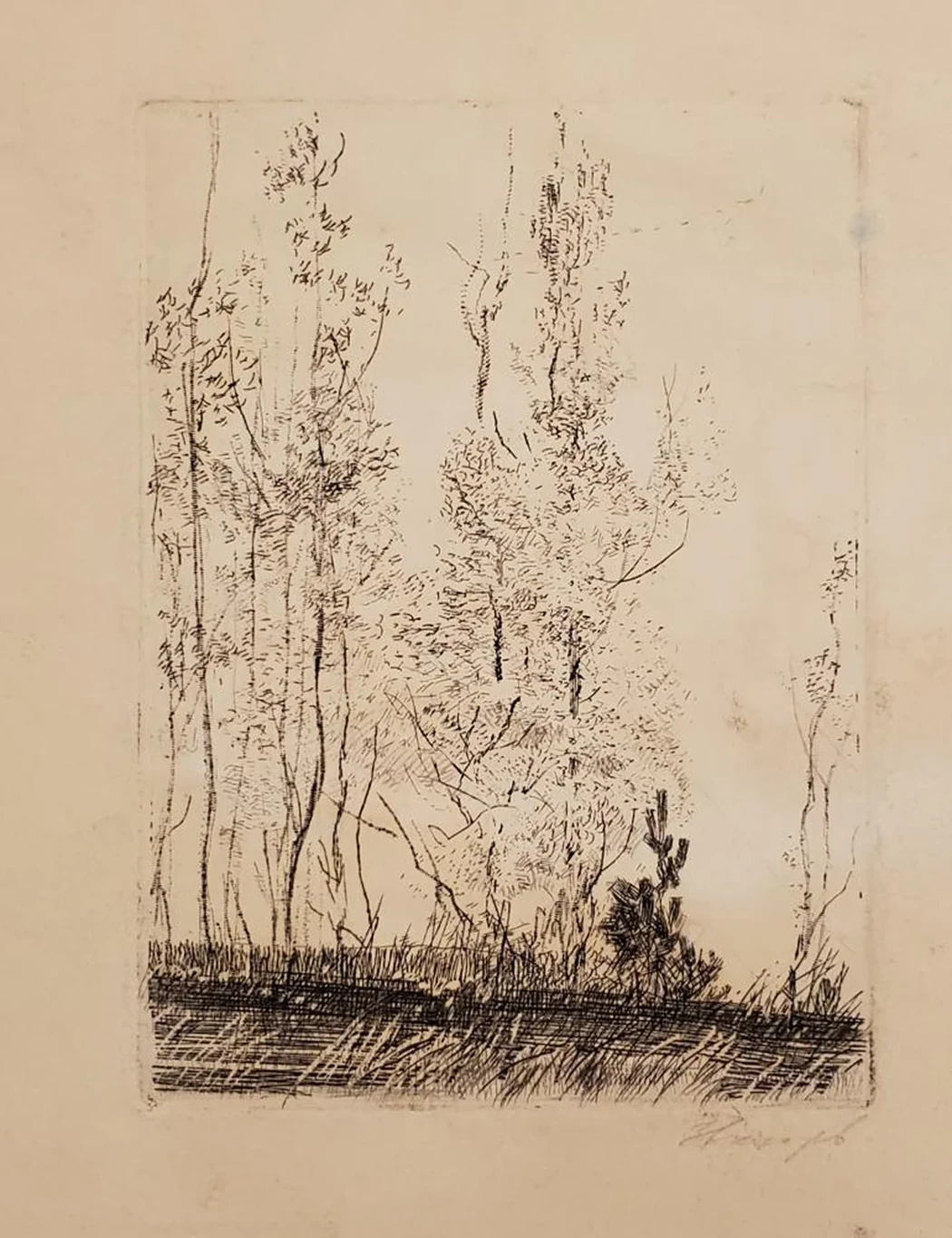 «Осинки»