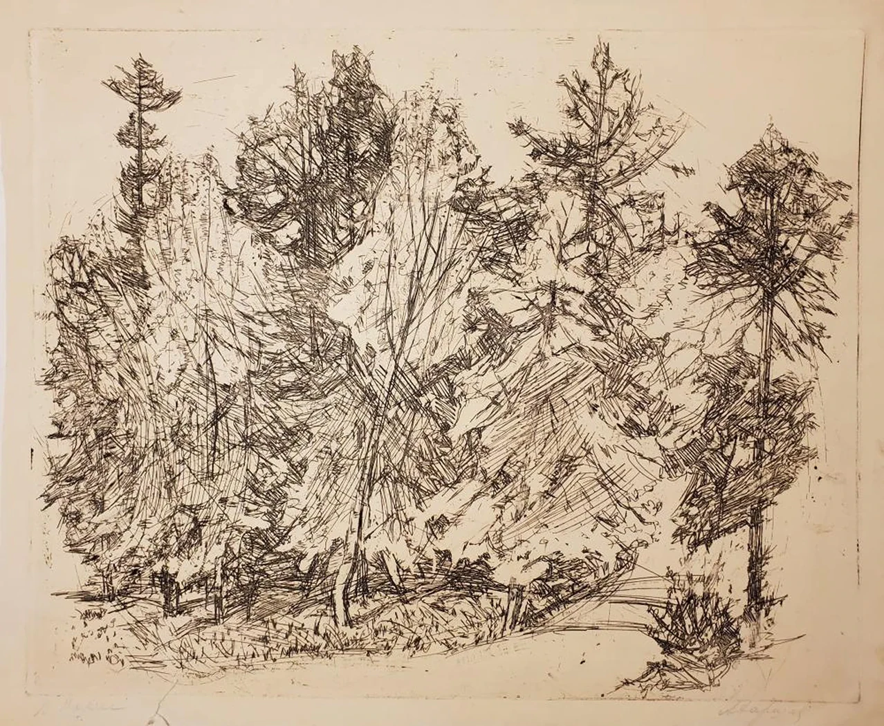 «В парке»