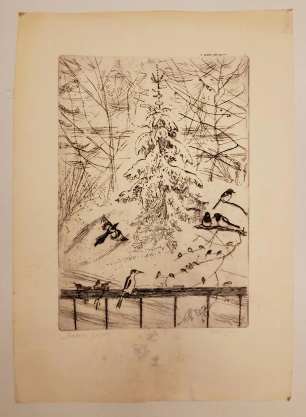 «Сороки»