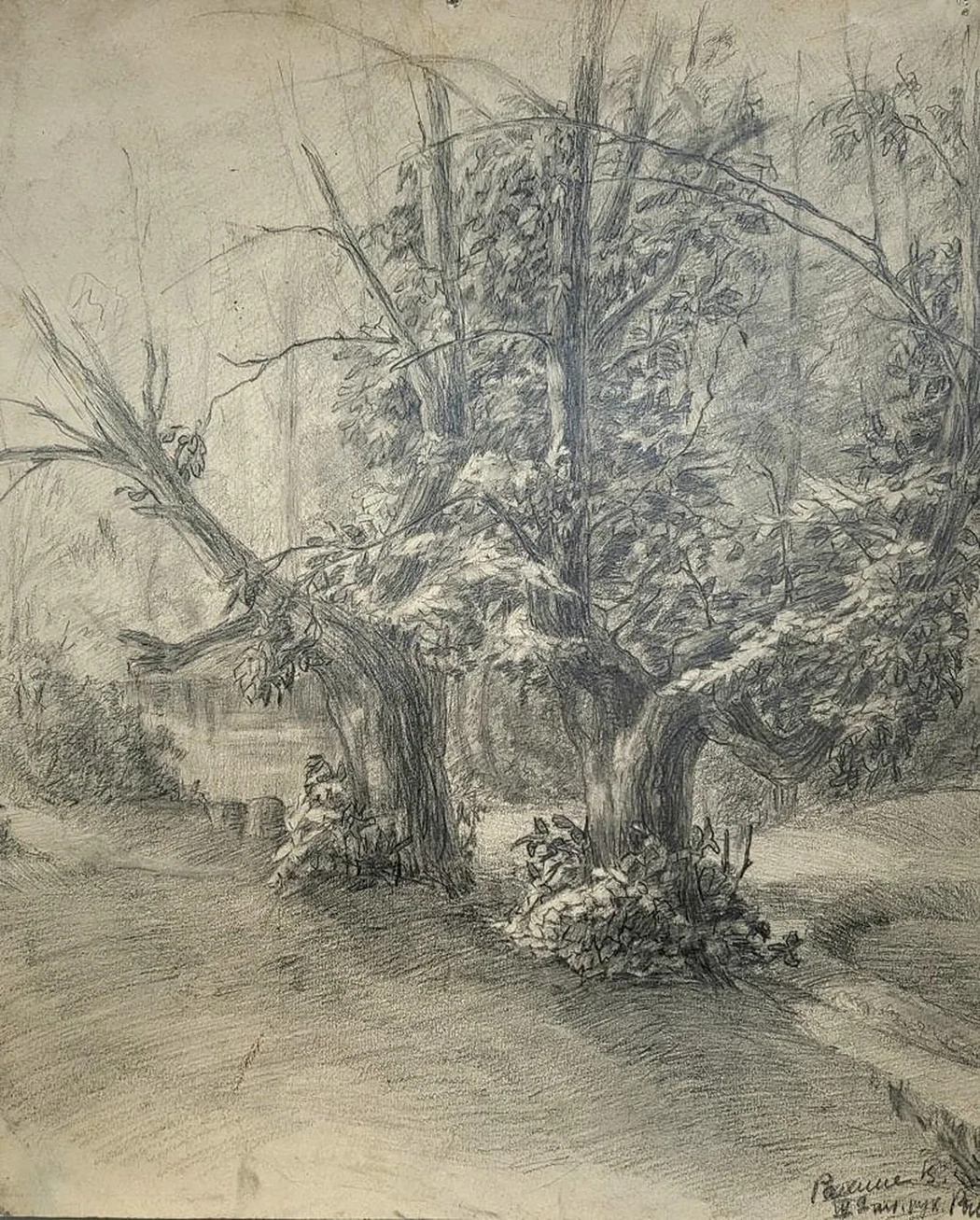 «Лес»