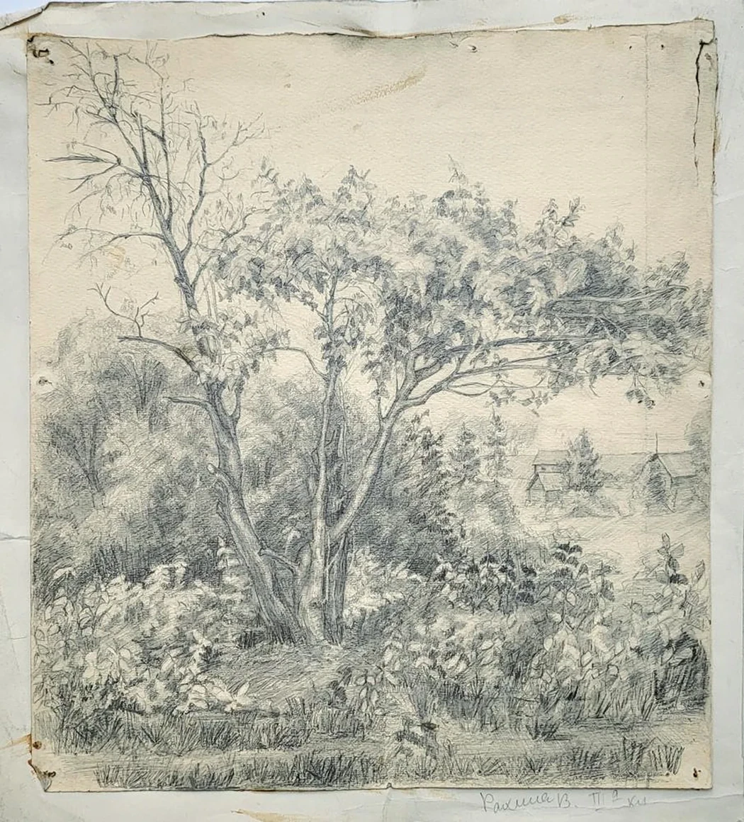 «Лес»