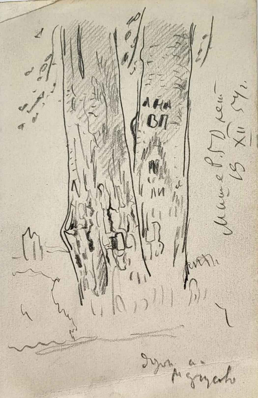 «Набросок», Тамби В.А., художник, купить картину, рисунок