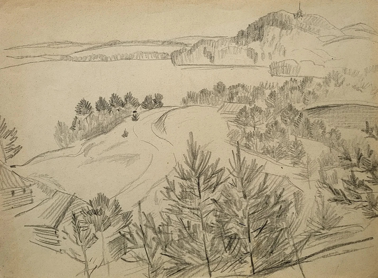 «Хим. горы, дороги. Картополье», Шаманов Б.И., художник, купить картину 