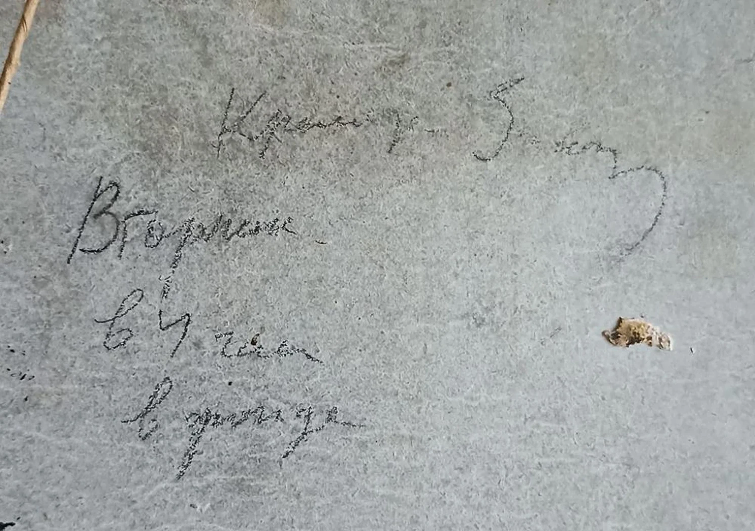 «Натюрморт»