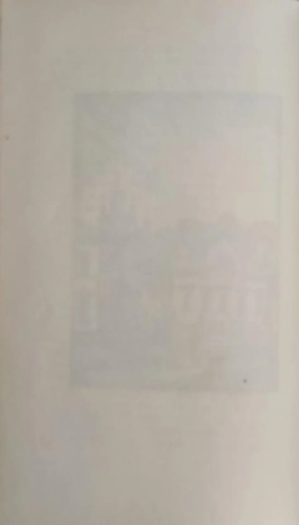 «Метель»